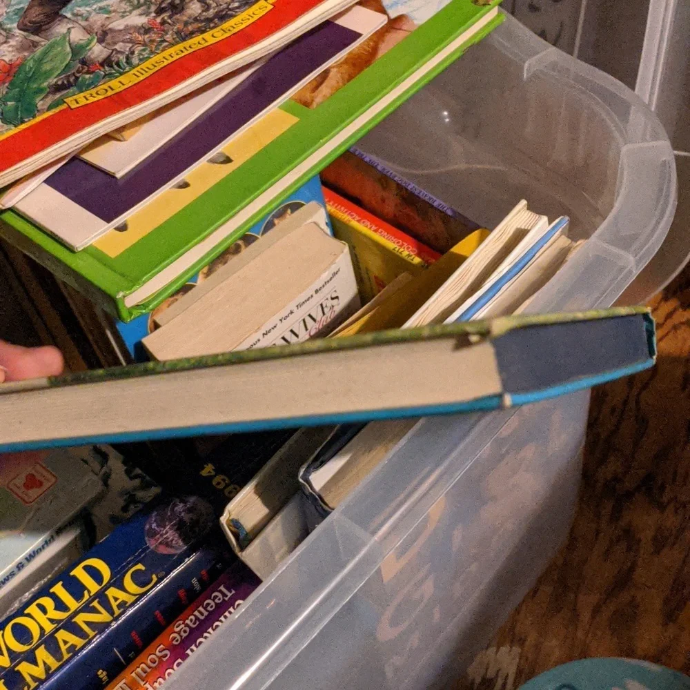 The Hardy Boys book 1970s vintage books - Picture 4 of 4